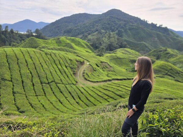 CAMERON EDEN (Full Day Tours)