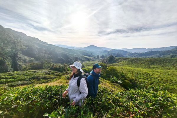 ENCHANTED BEAUTY (Full Day Tours)