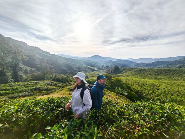 ENCHANTED BEAUTY (Full Day Tours)