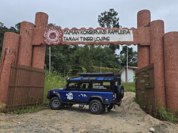 THE RAREST BLOOM (Rafflesia Tours)